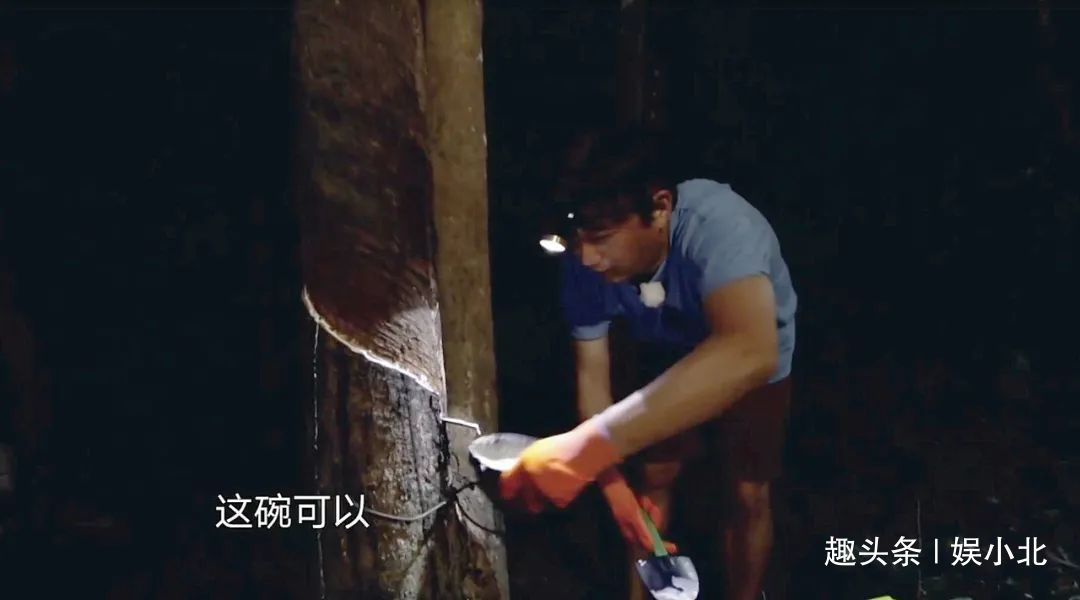 蘑菇|嘉宾重复请、广告太频繁、农活总干不完，被《向往4》劝退