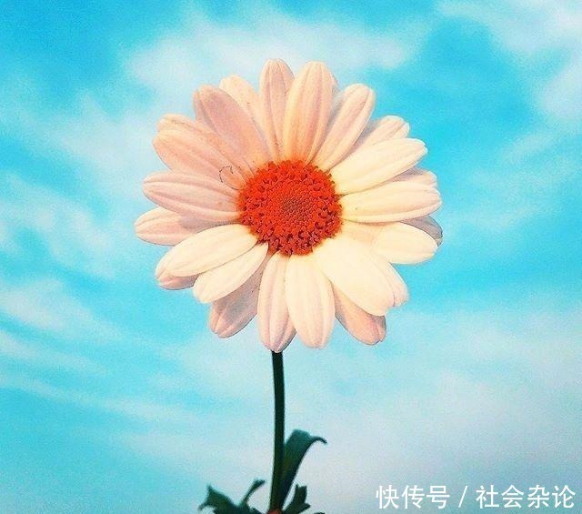 人生|令人受益匪浅的一段话,经典有理,能改变自己!