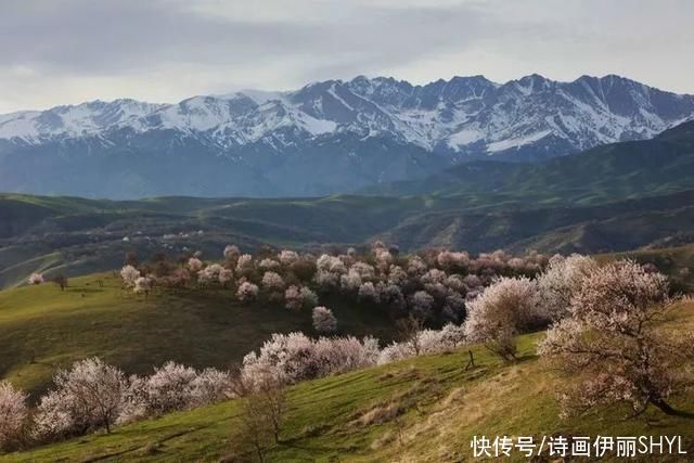 霍城大西沟花海拍摄记