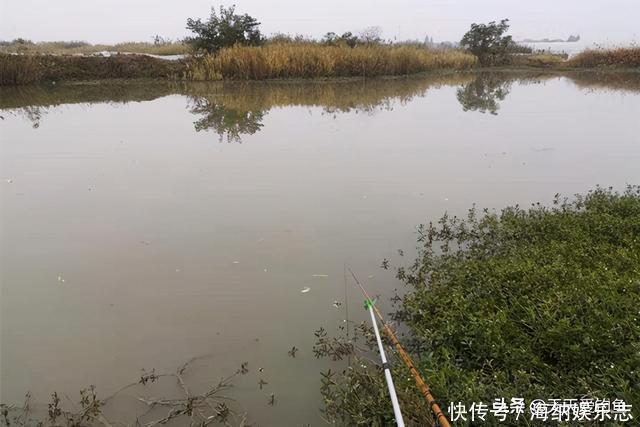 冬钓大鲫鱼,钓深还是钓浅?天冷要找这种地方,鲫鱼在这里扎堆