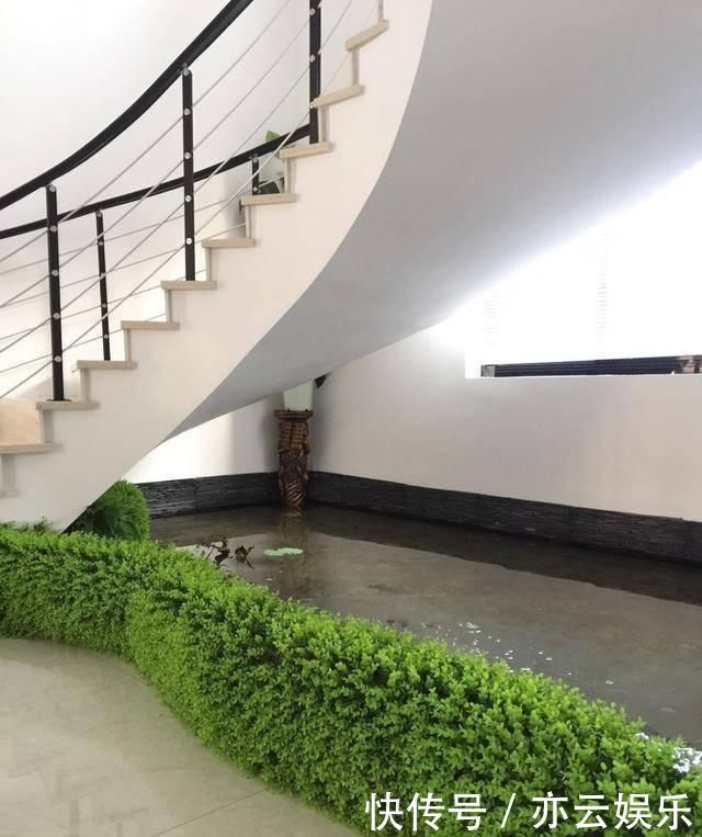 头一次见到户型不带院子,偏偏要在室内建庭院,没想到还这么漂亮