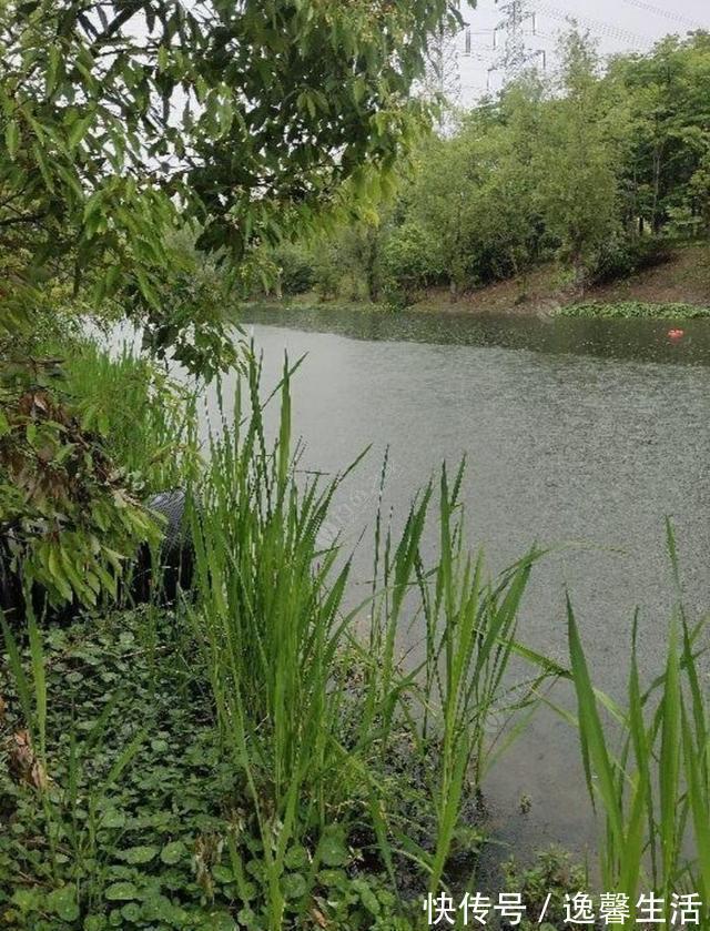 西南风|天刮西南风气死老钓翁野钓风向对鱼获影响知多少