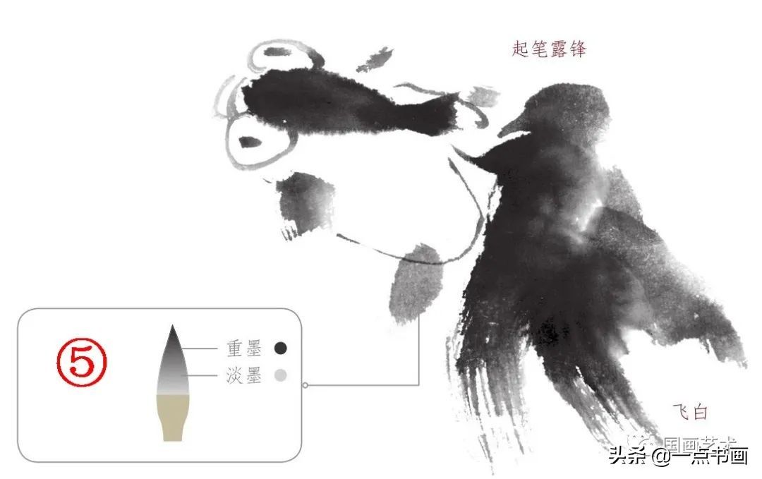 一学就会画荷花金鱼