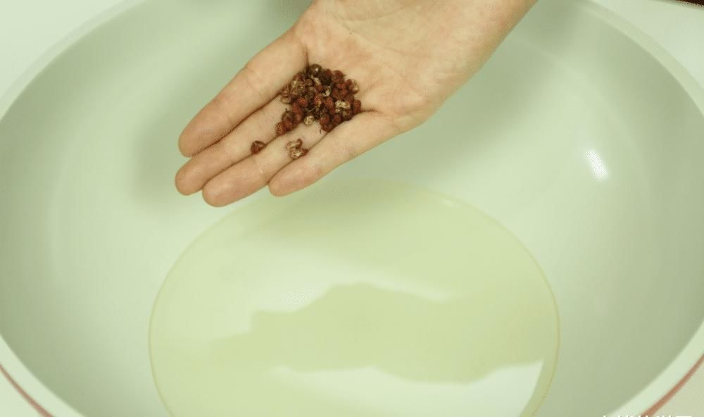 腌芥菜，直接加盐是外行！教你土方法，腌上20斤，脆爽又入味，香