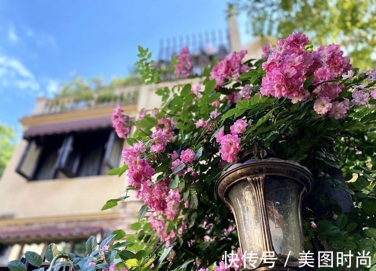 庭院改造:50㎡的下沉式庭院造花园,有地我也建一个,太好看了!