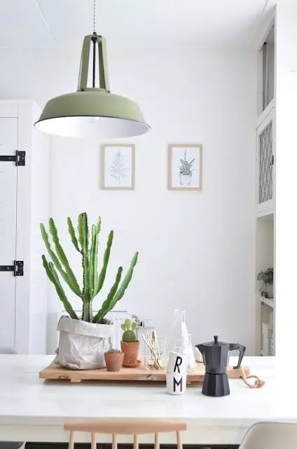 绿植|放一盆植物 瞬间就能让房间大不一样