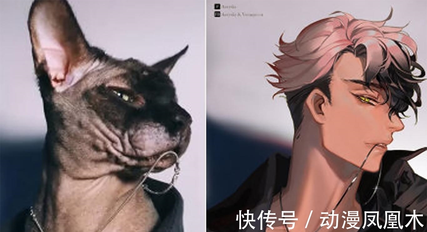 二次元化|当动物被画师二次元化,可盐可甜可帅气,还是纸片人更让人心动