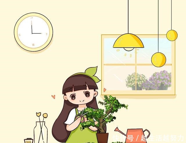 养花30年的大神说,这“3点”养花技巧,学会了啥花都能养活!