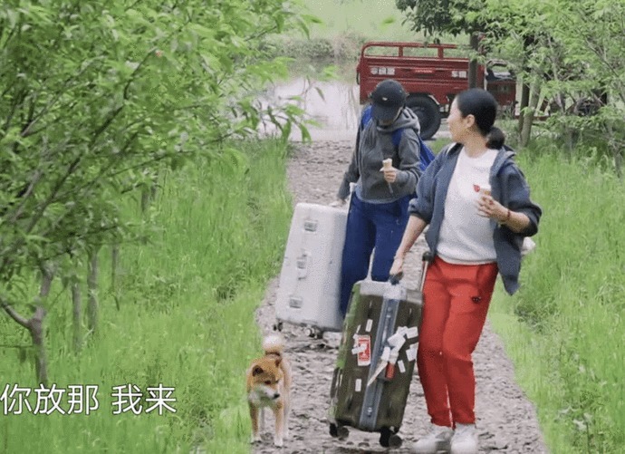 箱子|那英成《向往》最爱摆谱嘉宾,一到就怪罪人,黄磊何炅都招架不住