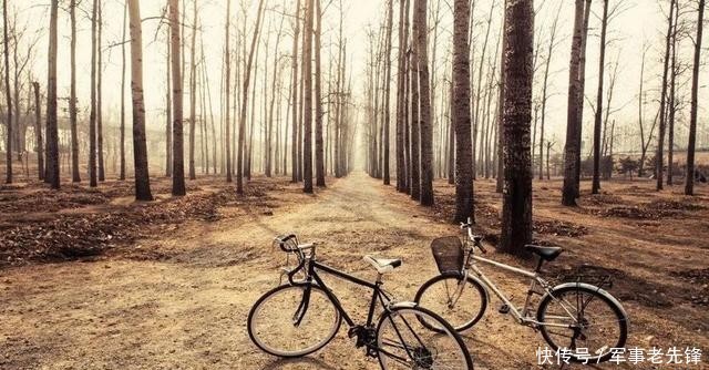 王碧君:青春是一本太过仓促的书