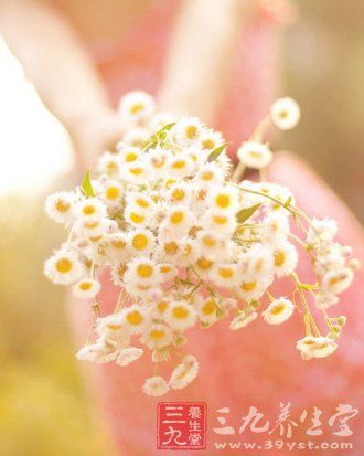 中醫(yī)養(yǎng)生七招 讓你做“天山童姥”