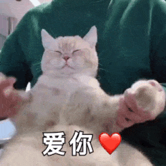 垃圾|智商税警告！这些母婴鸡肋大垃圾一定要谨慎！别被网红坑货糊了眼