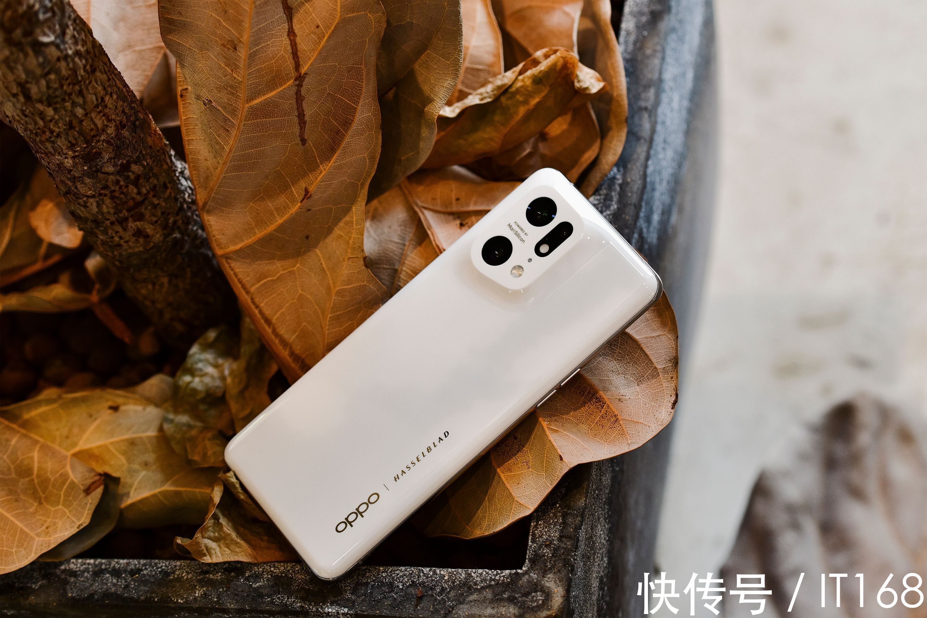 防抖|OPPO Find X5 Pro 白瓷图赏