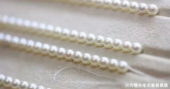 珍珠|亲临MIKIMOTO珠宝基地,揭秘顶级珍珠诞生的背后真相