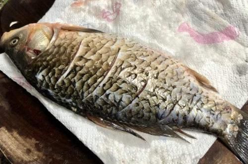 错误|煎鱼时,很多人常犯3个错误,难怪粘锅破皮,快来学会正确方法