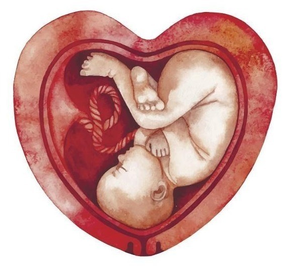 子宫|霉菌“钟爱”3种人,子宫不好的人,牢记多吃3菜,防妇科炎症