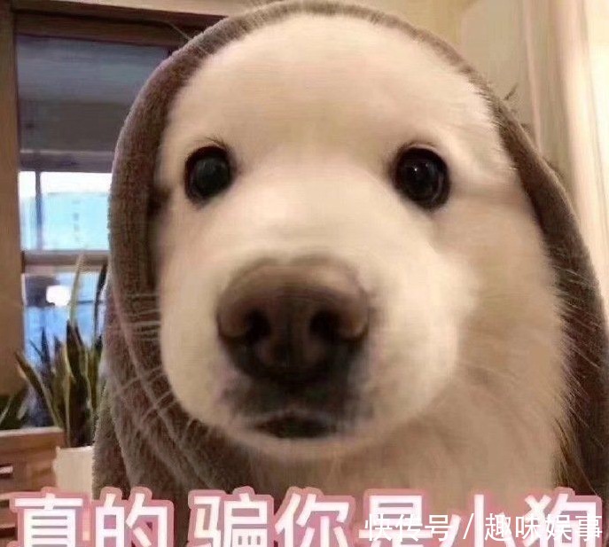 油皮|大牌贵妇护肤品“断舍离”,真正守护孕期皮肤“安全感”的是这些