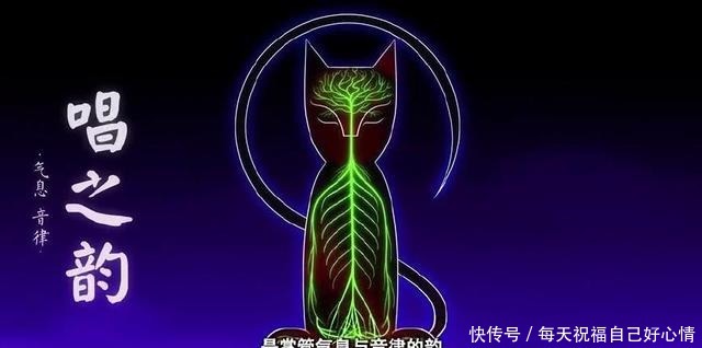 文宗四守|盘点《京剧猫》十二宗派，吃货白糖竟是……