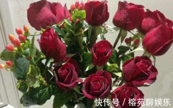 黑玫瑰|大家见过“黑魔术玫瑰”吗花色如墨，高贵优雅，观赏性价值极高