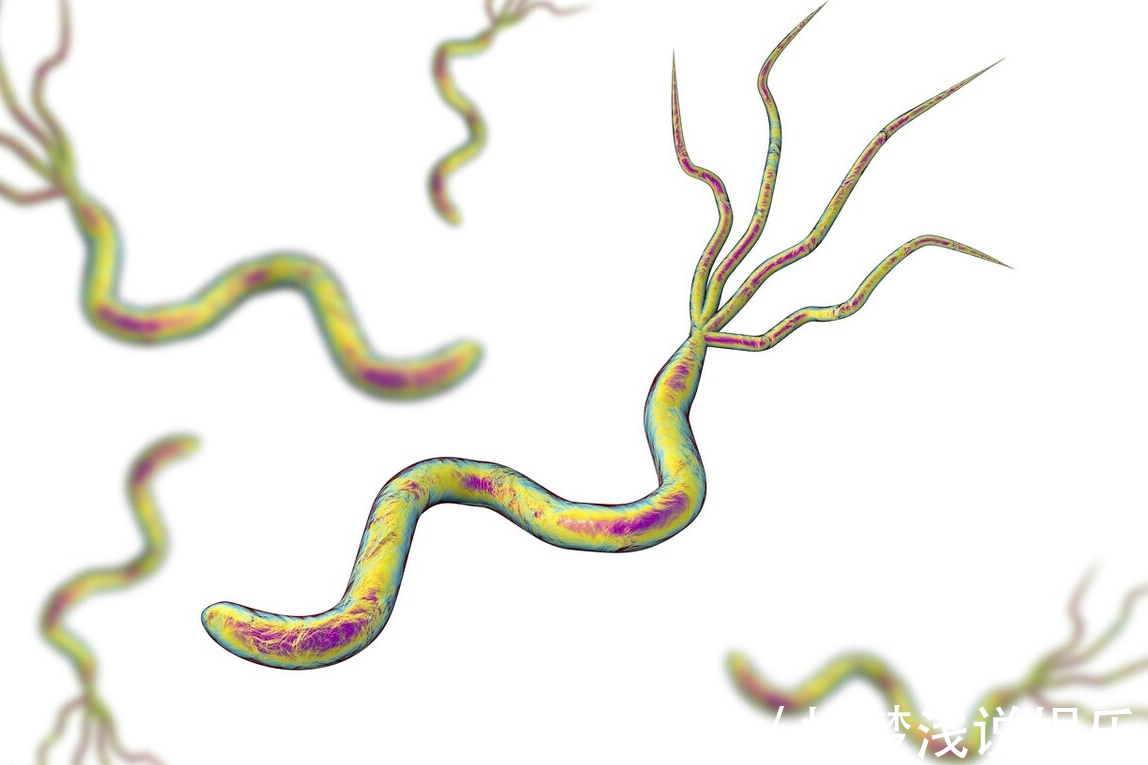 罹患癌症|什么食物常吃容易得癌症?想要身体健康,这六种食物再好也要放弃