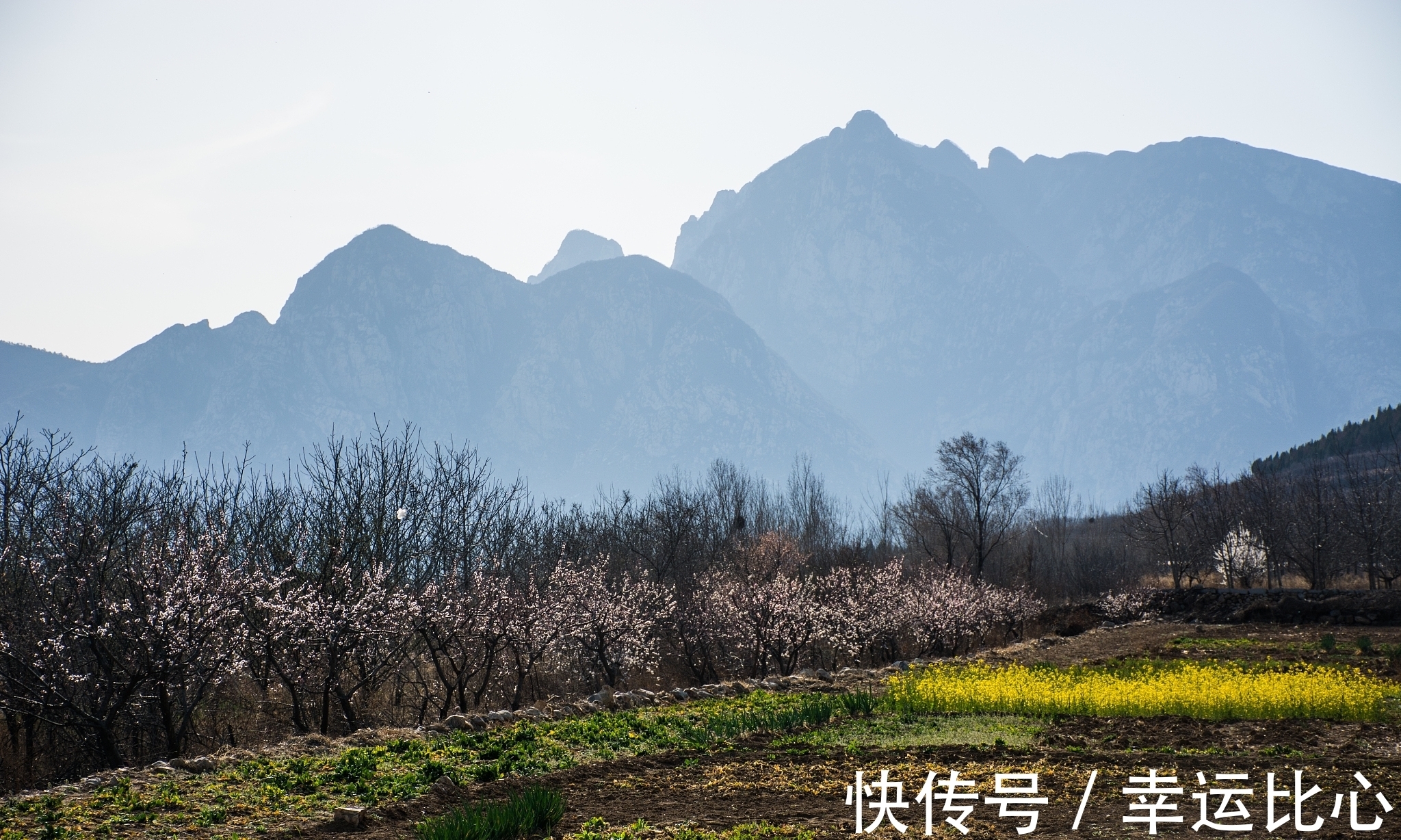 池荷!欧阳修是北宋文坛领袖,也是千古文章四大家之一,他的诗您喜欢吗