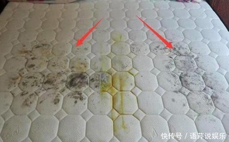 杀菌|床垫从没洗过教你一招,不用晒不用水洗,轻松杀菌除螨效果好
