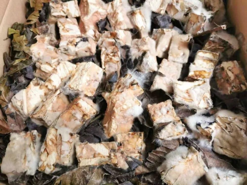  石柱人，你们多久没有亲手做过霉豆腐了？