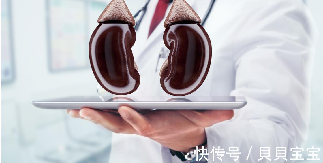 病理|尿蛋白对肾脏的伤害有多大？控制不好的病友，大半进展到了尿毒症