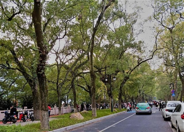 融化|温州又一公园走红，面积10.5公顷就在市区，景美人少还免门票