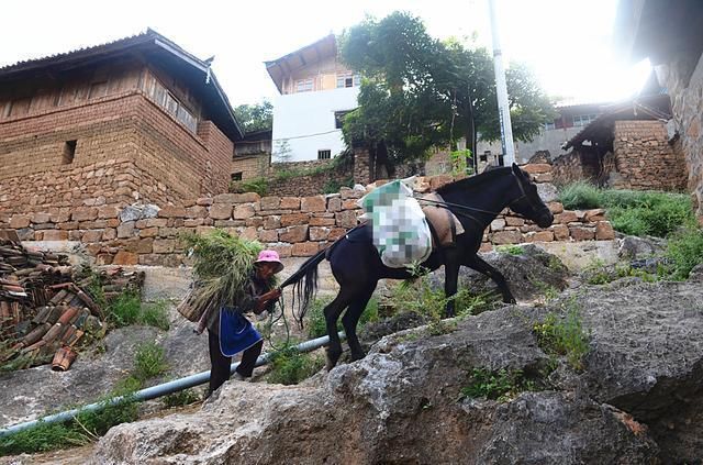 上建|一块巨石上建了108户，网友世外桃源，村民你们住得惯再说吧