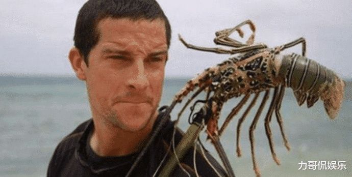 贝爷|为什么贝爷不愿再录《荒野求生》了解那次意外后就明白了