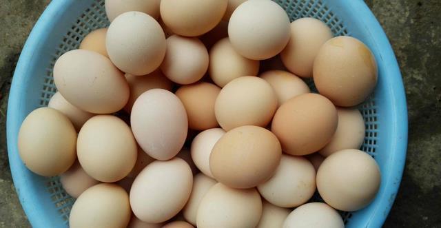 食物|初二男生一年长高18公分,医生:2种食物是长高加速剂,可多吃