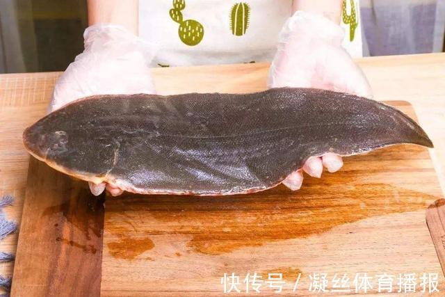 烹饪|买鱼就选择这5种鱼,刺很少,味道还特别鲜美,是烹饪的好食材