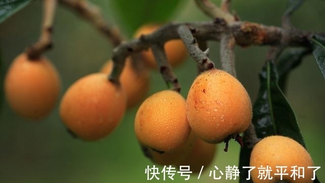 血糖控制|医生推荐:糖尿病吃什么水果好?其实有很多选择,血糖控制稳定!