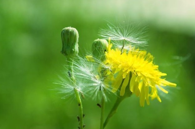 苦瓜泡水|血糖高的人,少吃3种食物!控制好血糖,谨记喝3水,动3处
