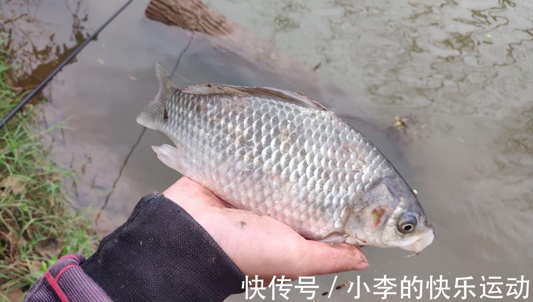 想冬钓?先搞明白,什么是六不钓