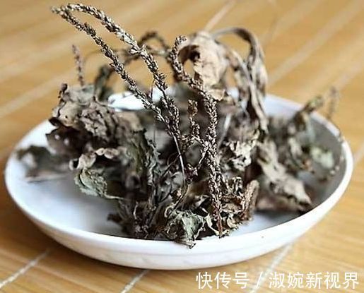 嫩叶|过去是穷人的“救命菜”，晒干能够泡茶喝，人称尿床草，一斤7元