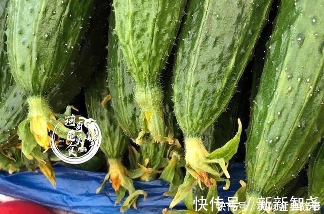 农药残留|原来辨别激素黄瓜如此简单,认准这4点,一眼就看出来,长见识了