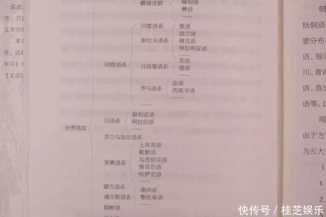 王力$中国现代语言学大师耗尽半生的扛鼎之作,打开传统文化大门这才是中国人的必读书
