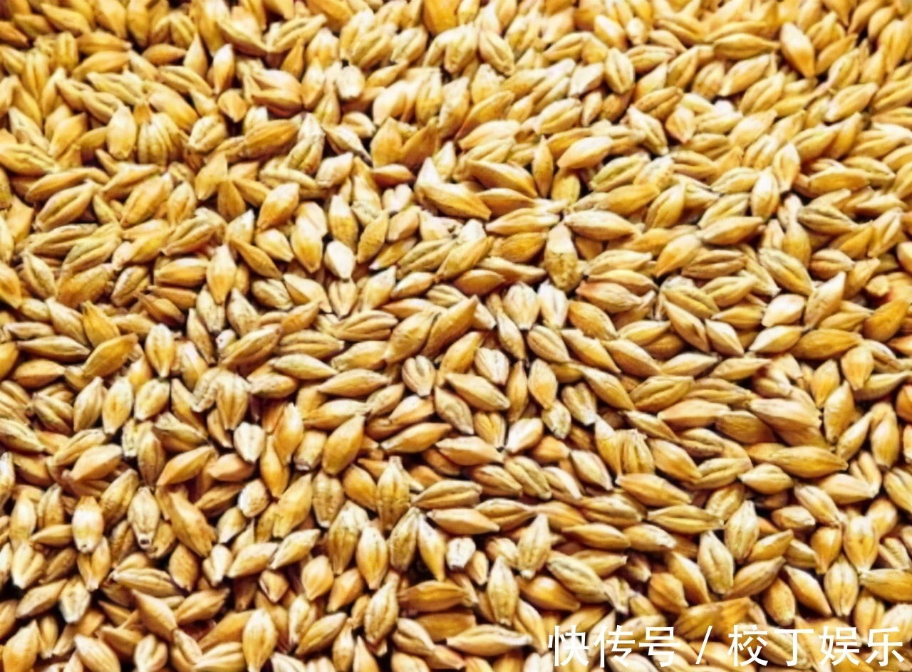 果蔬菜|人到中年,3种食物经常吃,排毒清肠,养护肠胃,增强体质