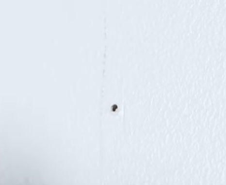 墙壁脏了不用重新粉刷，学会这几招，洁白如新~