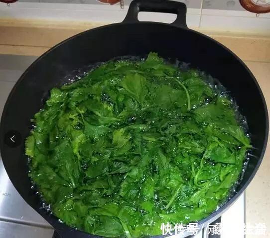 邻居浇花从不用清水，2种营养水浇灌，养啥花都爆盆