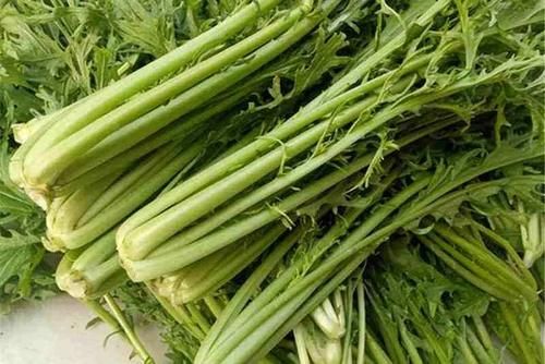 雪里红怎么腌制不变色？