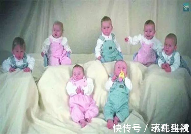 宝妈|一胎生“一窝”是种什么体验?七胞胎一天用52片尿布,喝42瓶奶粉