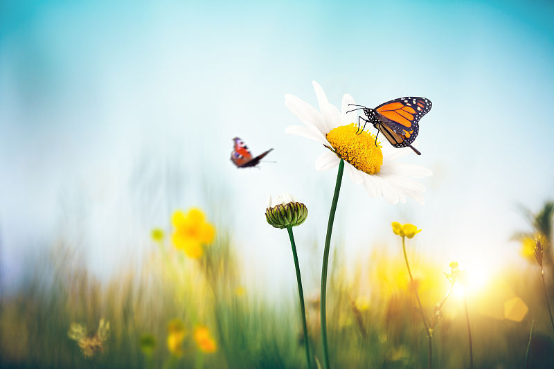 大一统揭秘:为什么地球生命只选择碳基生命,而不是其他呢?