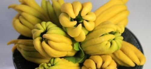 柚子|聪明女性都在吃3种食物，美容养生、延缓衰老，好吃又不贵！