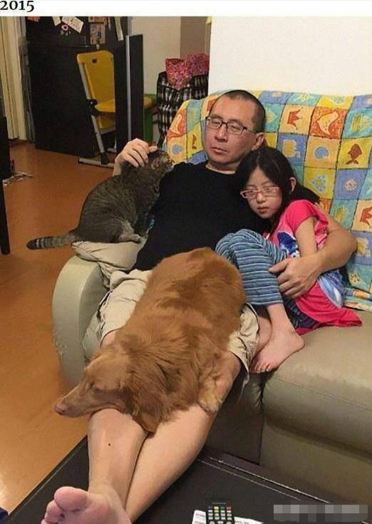 爸爸|爸爸每年抱着女儿拍张照,七张照片惹无数人泪目父爱如山!