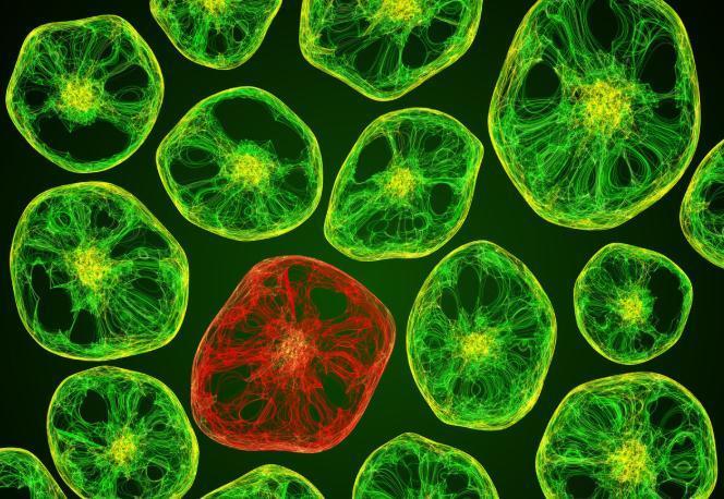 渗透压|糖尿病病人，究竟是多喝水还是少喝水？医生一文给说清楚