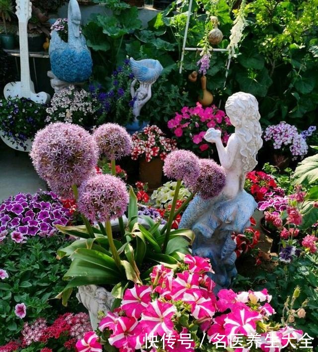 大叔的花园,亮点多多,惊艳了我,难怪大家都夸他太有生活情调了!