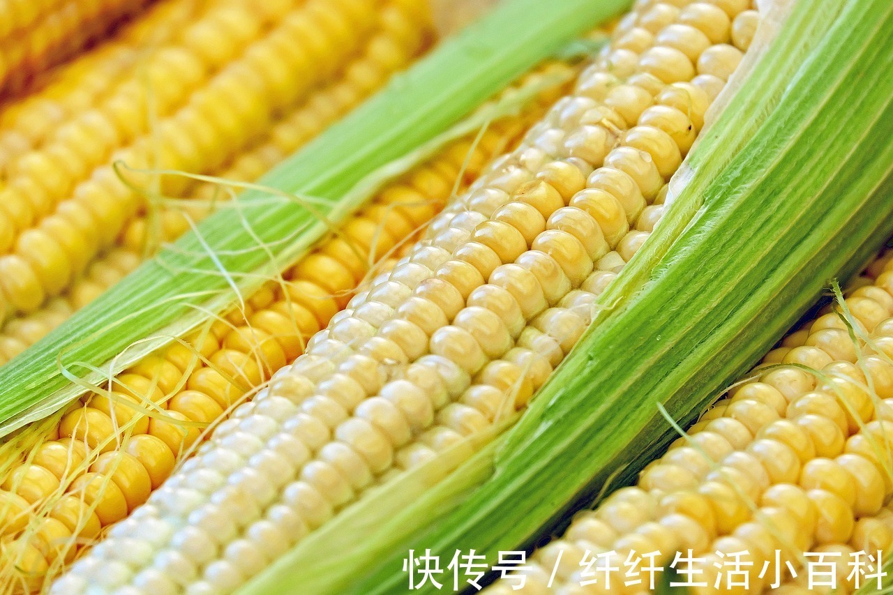 普洱茶|瘦百科：大餐过后如何控制体重？这样吃刮油减脂瘦回来